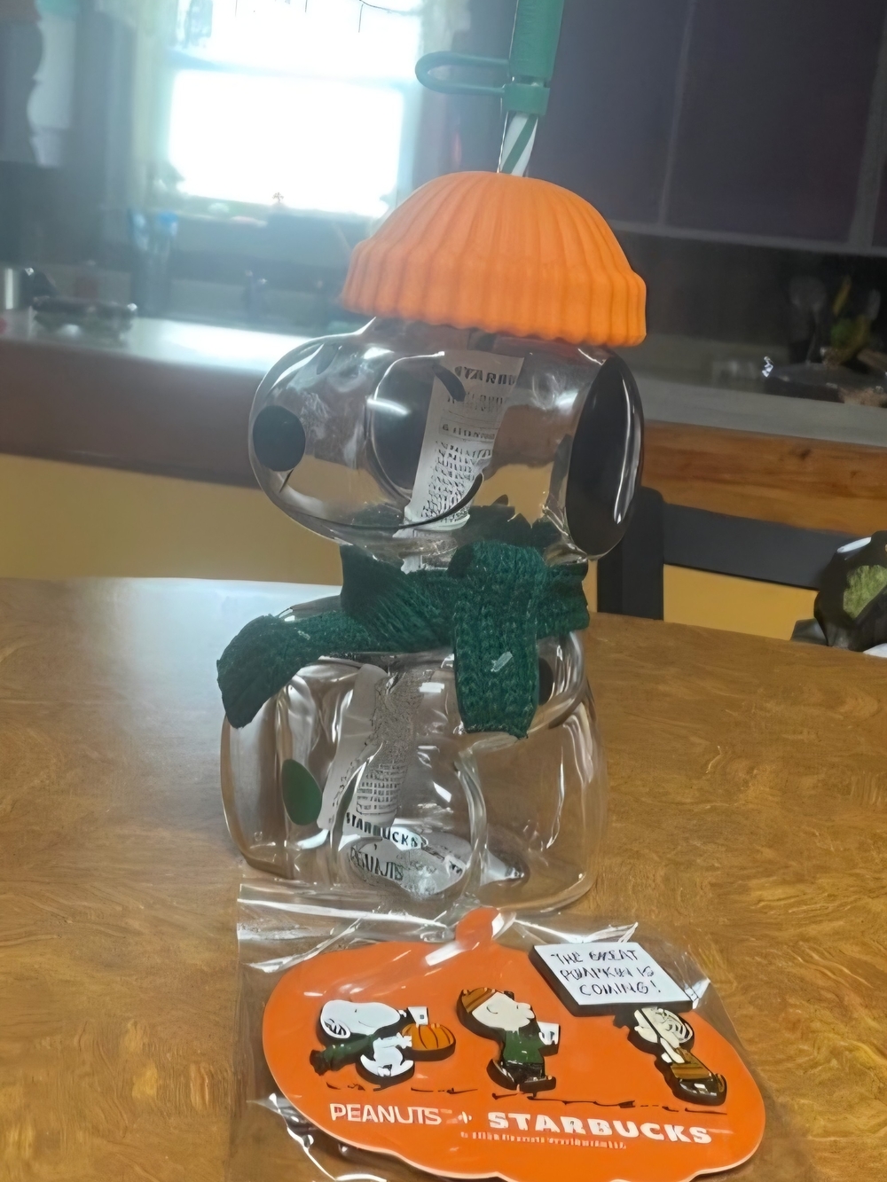 Starbucks Orange & Green Peanuts Dog Treat Jar